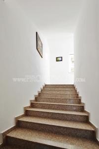 Studio Sunny Beach resort